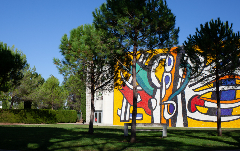 Garden of the Fernand Léger National Museum, in Biot