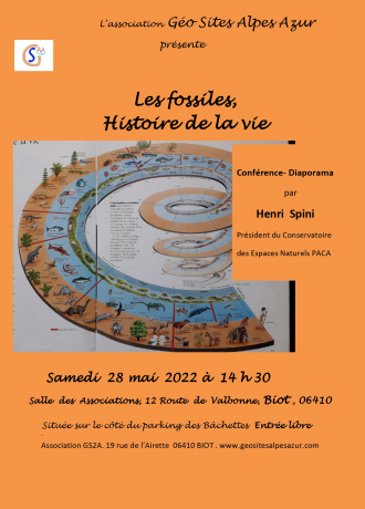 Conférence Diaporama « Fossile, Histoire de la vie »